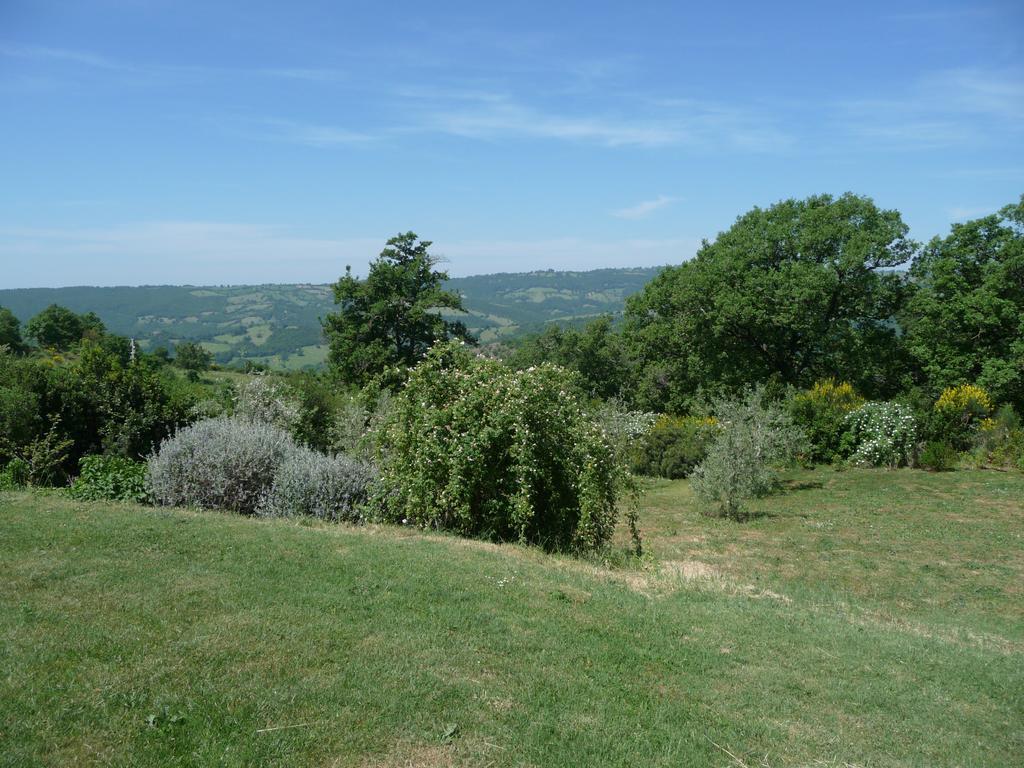 Podere Sant'Angelo Roccalbegna Zimmer foto